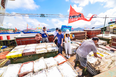 东海全面开渔!象山“、梭子蟹、竹节虾”等10多种海鲜排队等上桌