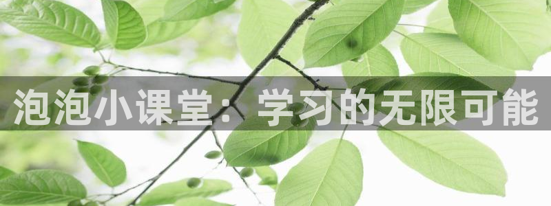 fh至尊app下载安装