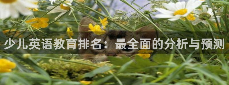 凤凰至尊fh凤凰版0a