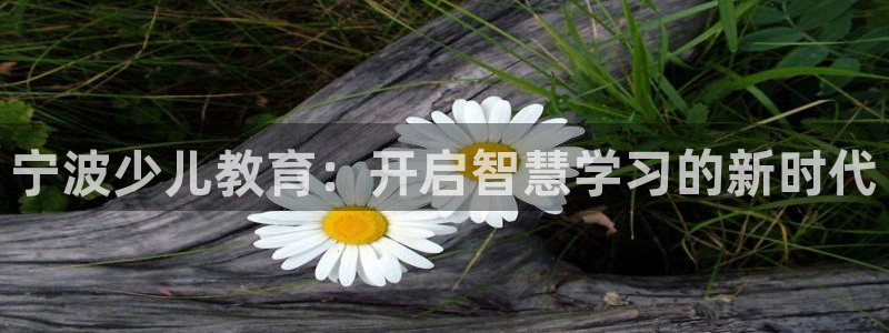 fh至尊是什么牌子