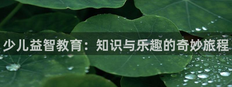 FH至尊信誉怎么样