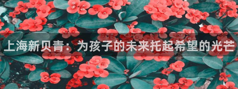 Fh至尊凤凰平台