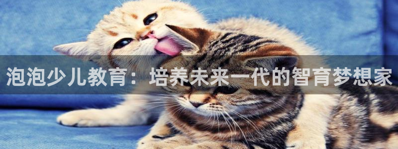 fh至尊怎么改密码