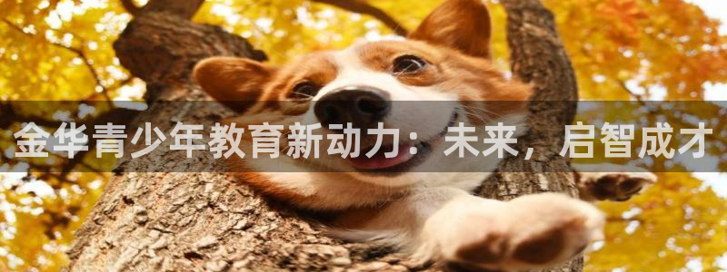 fh至尊平台安全吗