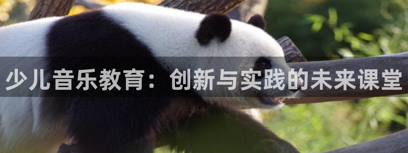 fh至尊多少年了