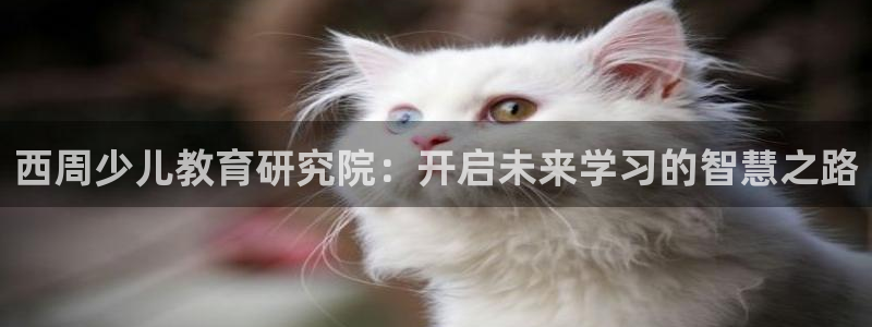 fh至尊提现不了