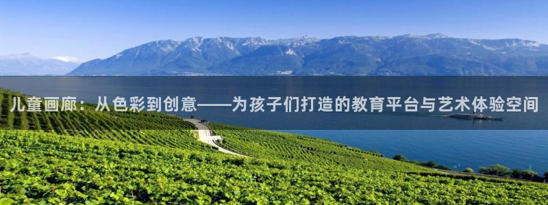 fh至尊平台多少年了