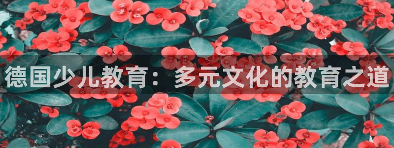 fh至尊什么意思