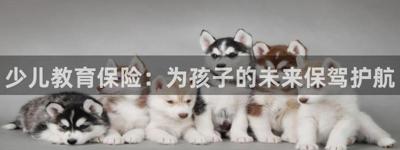 fh至尊平台简介
