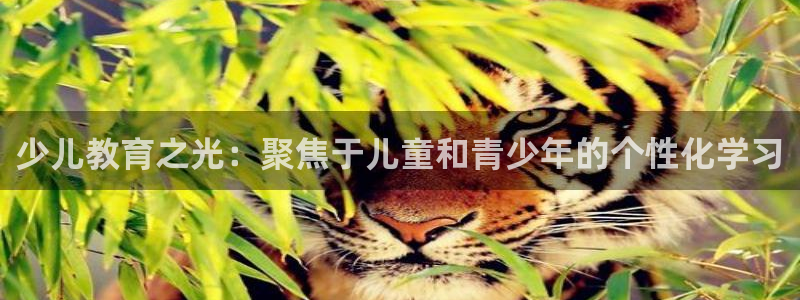 fh至尊怎么安装
