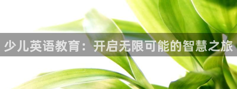 fh至尊安全吗