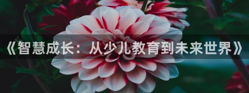 fh至尊在哪可以下载