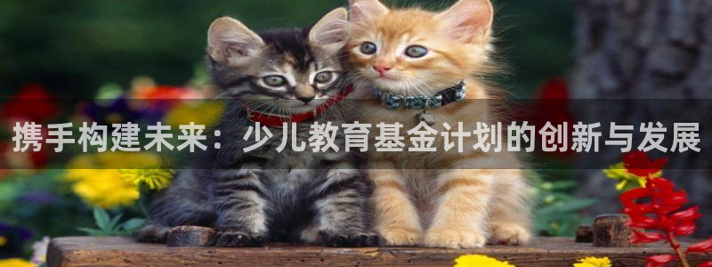 fh至尊品牌介绍