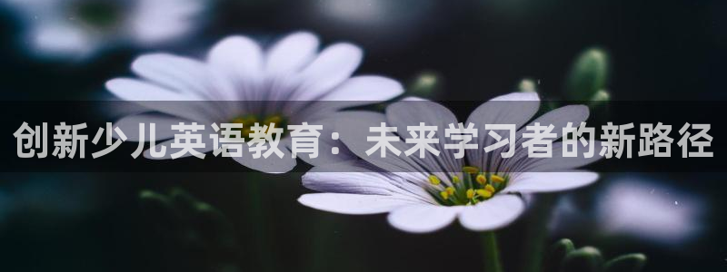 fh至尊是老凤凰平台吗