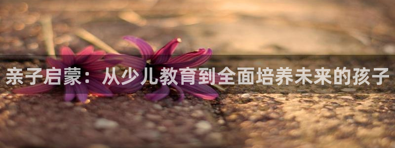 FH至尊平台注册