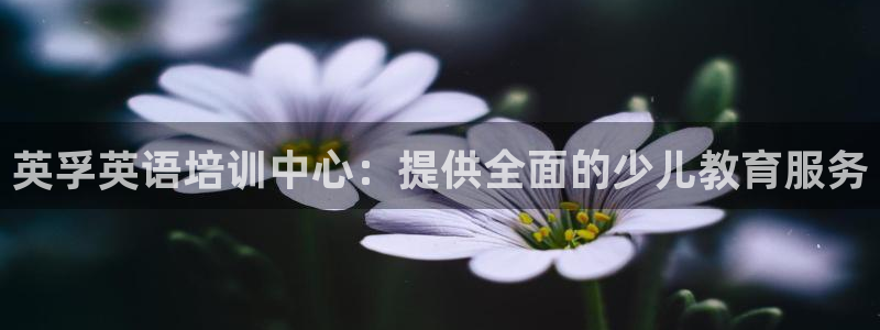 fh至尊