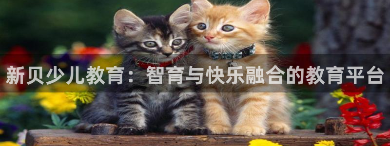 fh至尊版手机app