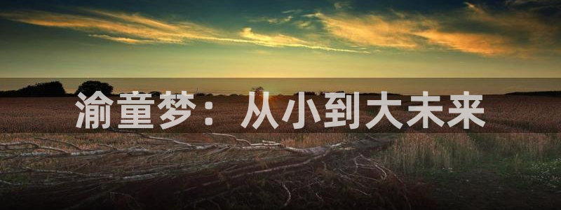 fh至尊是黑台子吗