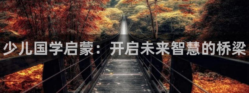 fh至尊网页登入