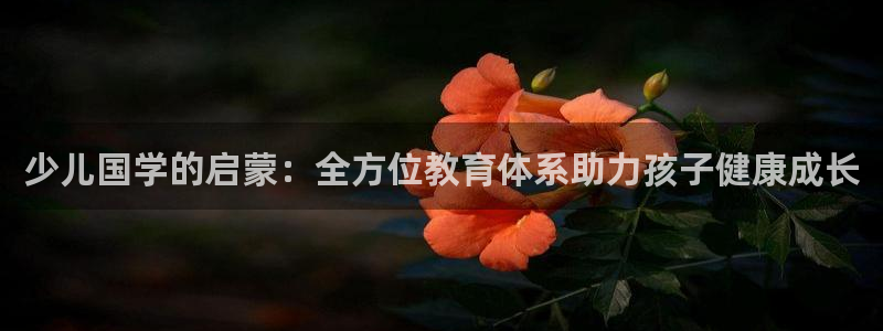 fh至尊诚信19年