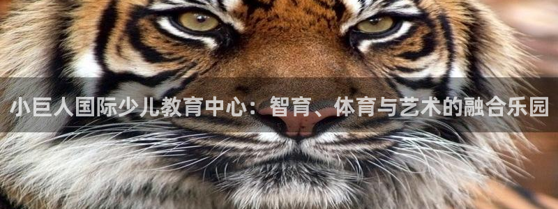 fh至尊是老凤凰吗