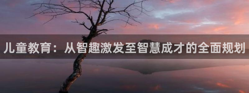 fh至尊安全吗