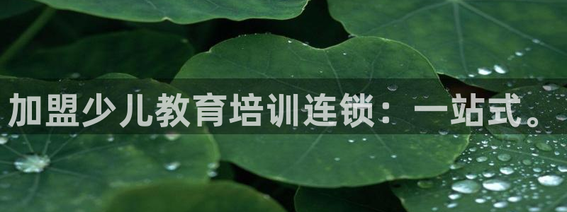 FH至尊平台是什么平台