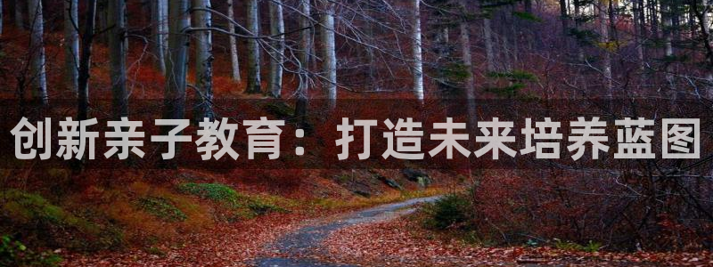 fh至尊平台正常登录