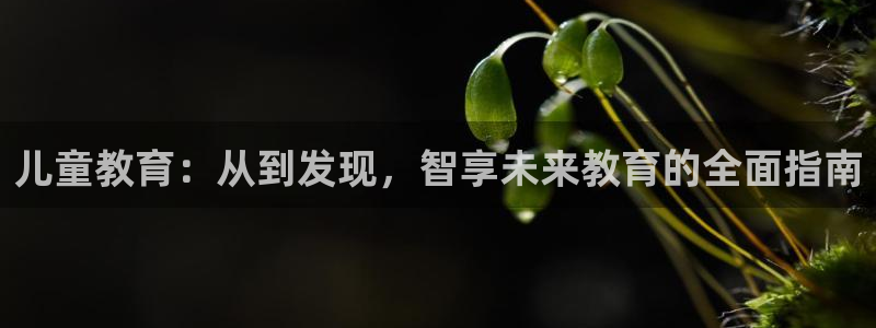 fh至尊在哪个平台