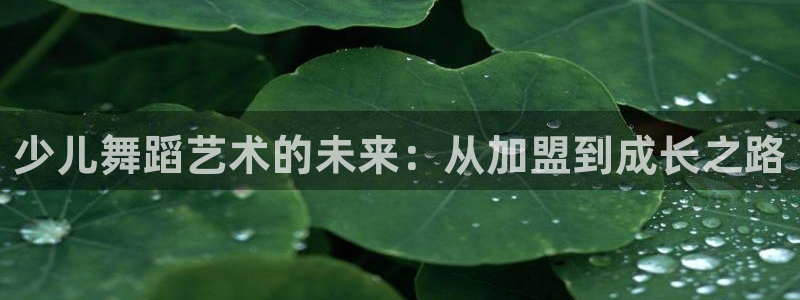 fh至尊平台简介