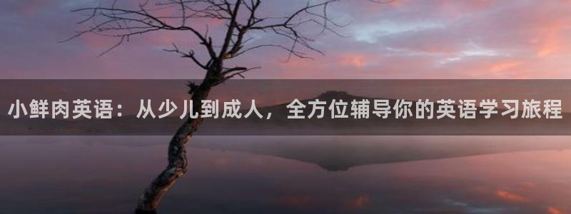 fh至尊为什么不更新了