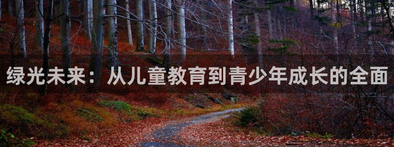 fh至尊品牌介绍