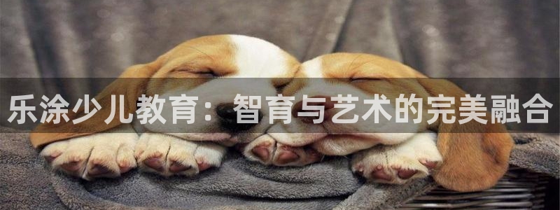 fh至尊平台坑人的原因