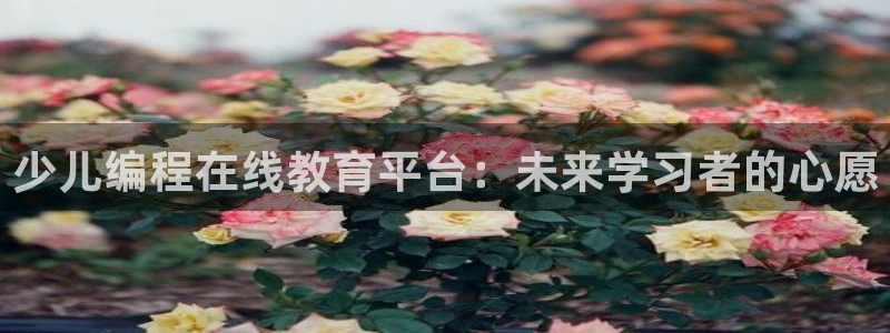 fh至尊平台多少年了