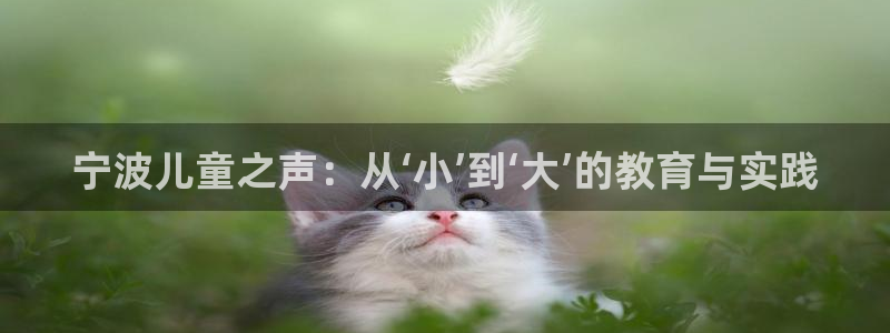 fh至尊平台冻结