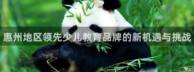 fh至尊正常登录下载