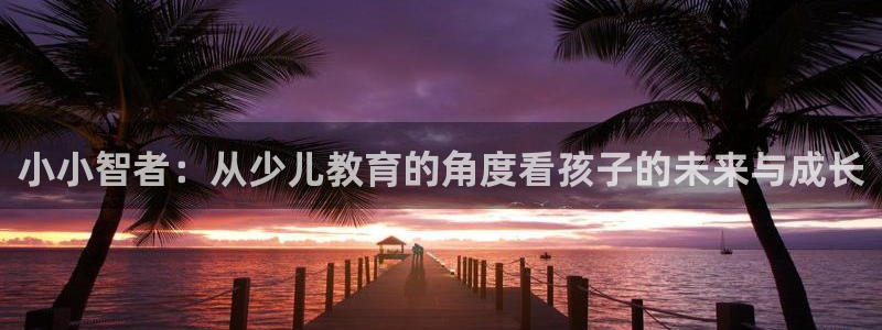 FH至尊属于哪里啊公司