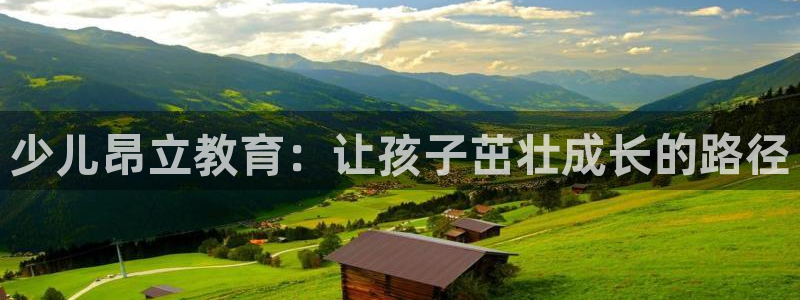 FH至尊平台怎样