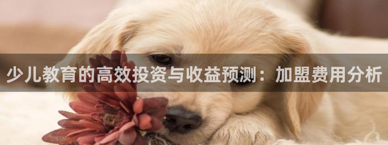 fh至尊官方旗舰店