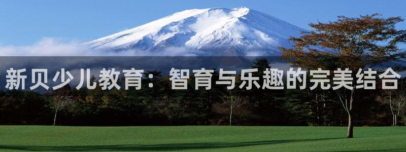 FH至尊平台老板是谁