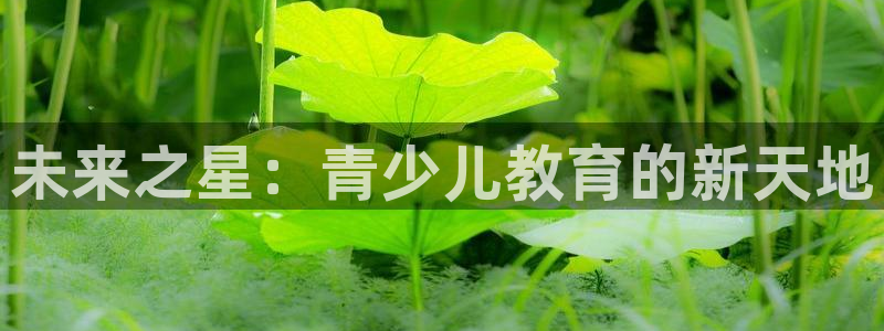 fh至尊是老凤凰平台么