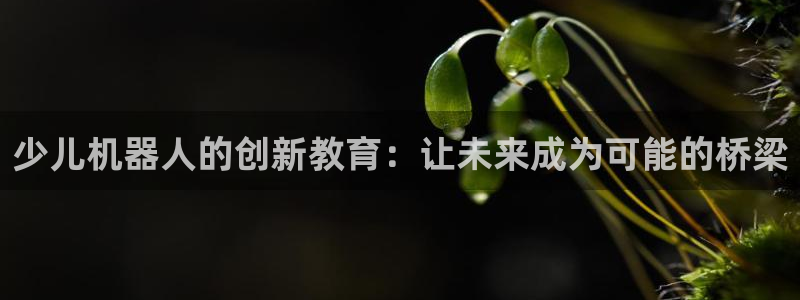 fh至尊什么意思