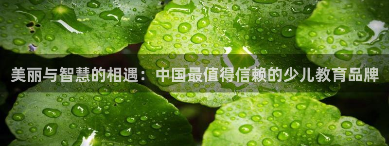 fh至尊是凤凰平台么