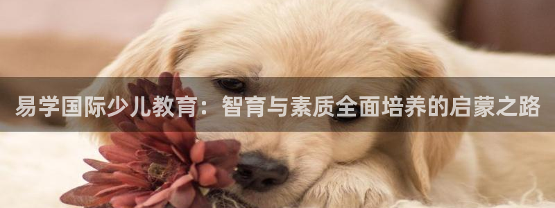 fh至尊平台安全吗