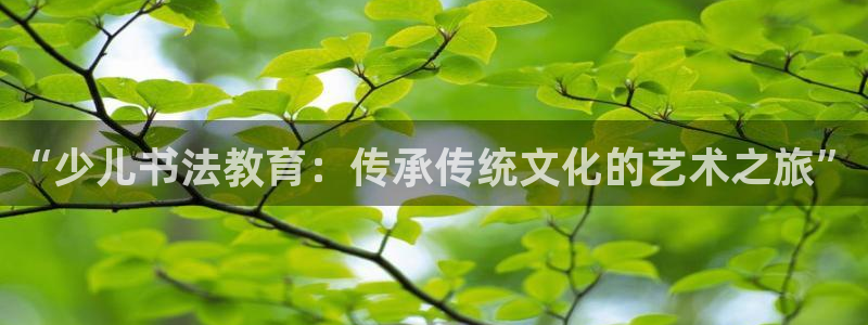 fh至尊怎么登录