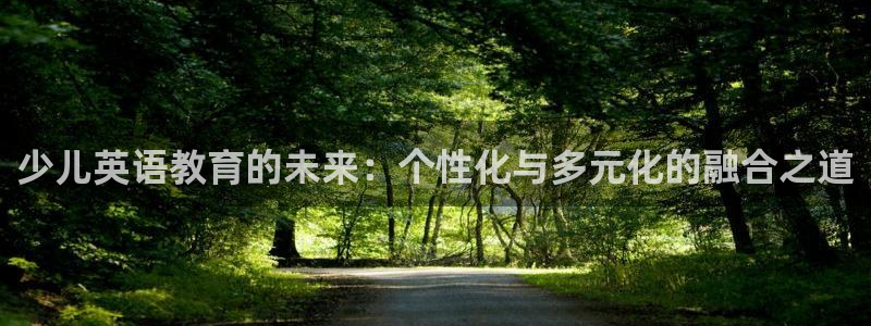 FH至尊是什么