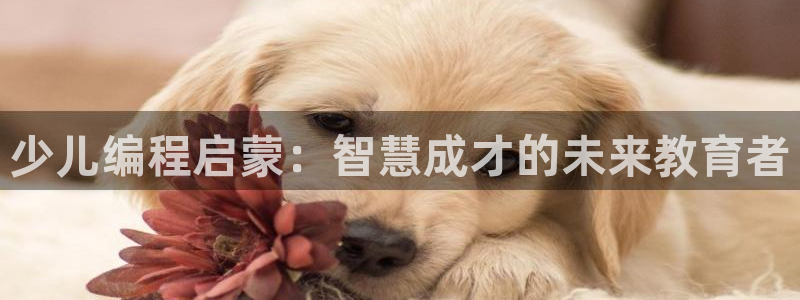 fh至尊网页登入