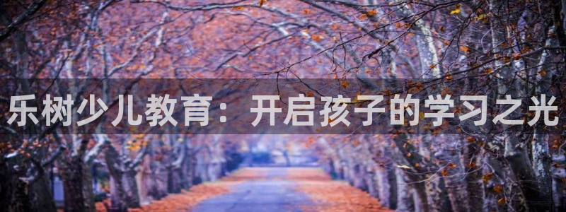 fh至尊安全吗