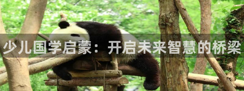 FH至尊登录不了