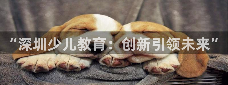 fh至尊正常登录